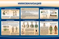 Стенд "Иммобилизация" - «globural.ru» - Пермь