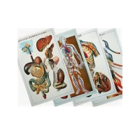 Таблицы рельефные - «globural.ru» - Пермь