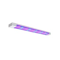 Фитолампа - «globural.ru» - Пермь