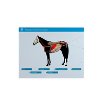 Стенд-планшет светодинамический "Изучение пищеварительной системы сельскохозяйственных животных" со сменными панелями - «globural.ru» - Пермь