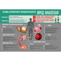 Стенд "Алкоголь" - «globural.ru» - Пермь