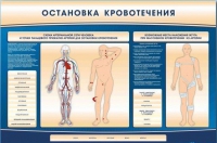 Электрифицированный стенд-тренажер "Остановка кровотечения" - «globural.ru» - Пермь