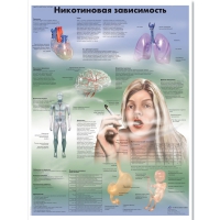 Плакат "Никотиновая зависимость", ламинированный, 50*67 см - «globural.ru» - Пермь