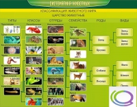 Стенд "Систематика животных" - «globural.ru» - Пермь