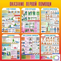 Стенд "Оказание первой помощи" - «globural.ru» - Пермь