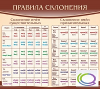 Стенд "Правила склонения" - «globural.ru» - Пермь