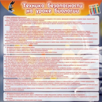 Стенд "Техника безопасности на уроках биологии" (вариант 1) - «globural.ru» - Пермь