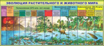 Стенд "Эволюция растительного и животного мира" - «globural.ru» - Пермь