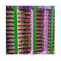 Вертикальная ферма "Моя Микрозелень" комплектация Школьная - «globural.ru» - Пермь