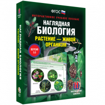 Наглядная биология. Растение - живой организм - «globural.ru» - Пермь