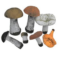 Набор муляжей грибов 7 штук - «globural.ru» - Пермь