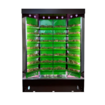 Вертикальная ферма "Моя Микрозелень" комплектация "Театро настольная" - «globural.ru» - Пермь