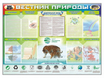 Стенд-уголок "Вестник природы" (вариант 1) - «globural.ru» - Пермь