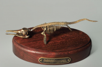 Модель скелета ихтиозавра Ichthyosaurus - «globural.ru» - Пермь