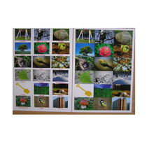 Английское лото "На прогулке" - «globural.ru» - Пермь