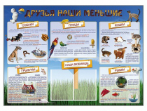 Стенд-уголок "Друзья наши меньшие" - «globural.ru» - Пермь