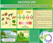 Стенд "Экология. Организация и функционирование сообществ" - «globural.ru» - Пермь