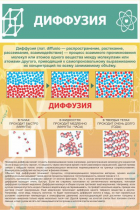 Стенд "Диффузия" - «globural.ru» - Пермь