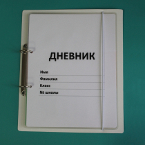 Дневник школьника (с полным набором карточек) - «globural.ru» - Пермь