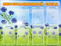 Стенд информационный с 7 карманами - «globural.ru» - Пермь