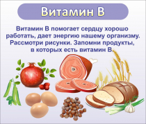 Стенд "Витамин В" - «globural.ru» - Пермь