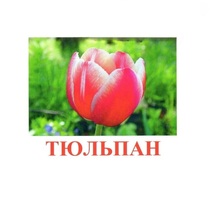 Карточки Домана "Цветы-1" - «globural.ru» - Пермь