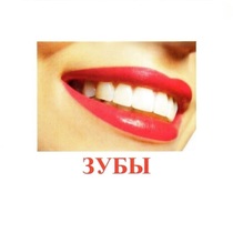 Карточки Домана "Части тела" - «globural.ru» - Пермь