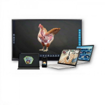 Интерактивное наглядное 3D пособие «Познание: Птицеводство» - «globural.ru» - Пермь