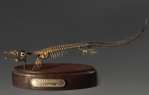 Модель скелета мозазавра Mosasaurus - «globural.ru» - Пермь