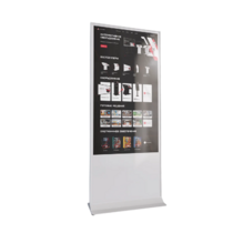 Интерактивный сенсорный киоск Nova 43" - «globural.ru» - Пермь