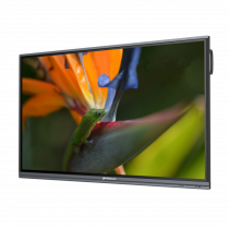 Интерактивный программно-аппаратный комплекс Geckotouch Interactive Pro IP75HT-E в комплекте с настенным креплением - «globural.ru» - Пермь