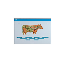 Стенд-планшет светодинамический "Изучение нервной системы сельскохозяйственных животных" со сменными панелями - «globural.ru» - Пермь