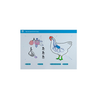 Стенд-планшет светодинамический "Изучение органов дыхания сельскохозяйственных животных" со сменными панелями - «globural.ru» - Пермь