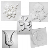 Комплект гипсовых моделей растений  - «globural.ru» - Пермь