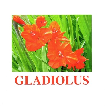 "Flowers-1" ("Цветы-1") английские карточки Домана - «globural.ru» - Пермь