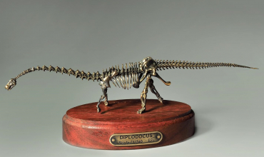 Модель скелета динозавра Diplodocus  (вариант 2) - «globural.ru» - Пермь