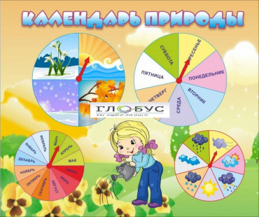 Стенд "Календарь природы" (вариант 1) - «globural.ru» - Пермь