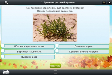 Интерактивные курсы. Окружающий мир 3 класс. Базовый - «globural.ru» - Пермь