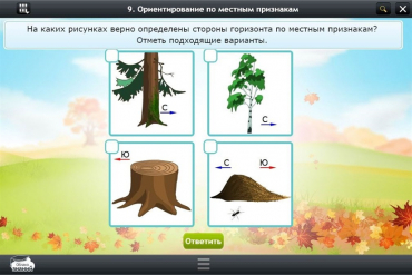 Интерактивные курсы. Окружающий мир 1 класс. Базовый - «globural.ru» - Пермь