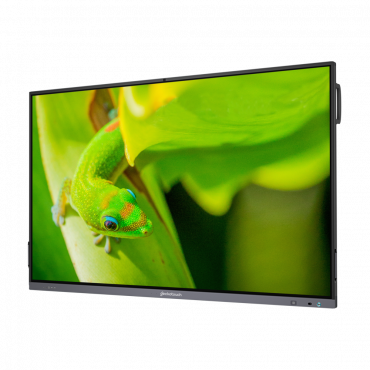 Интерактивный программно-аппаратный комплекс Geckotouch Interactive IP75GT-C в комплекте с настенным креплением - «globural.ru» - Пермь