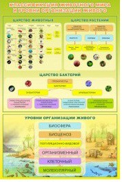Стенд "Классификация животного мира" - «globural.ru» - Пермь